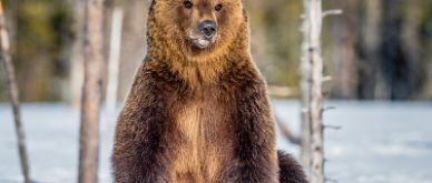 Inview February 2024